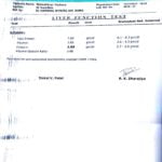 Ayurvedic Treatment for Liver Disease