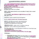 Ayurvedic Treatment For cirrhosis of liver